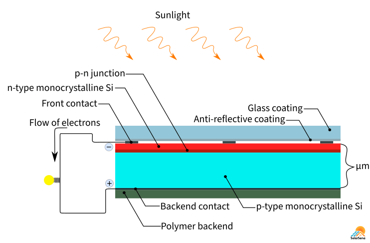 The cross-sectional view of monocrystalline solar cells