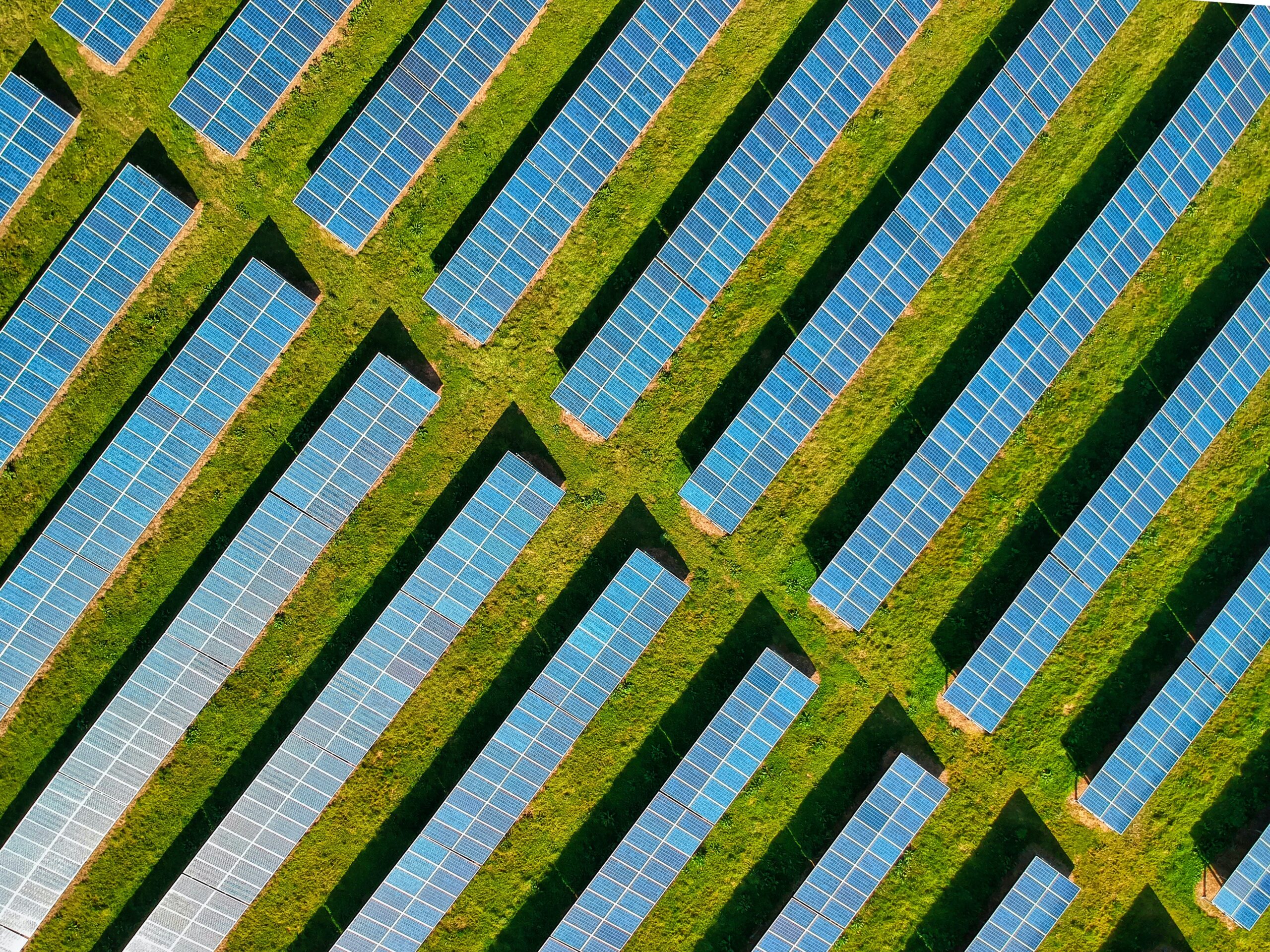Solar Farm Green